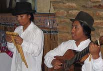 rufus tailed hummingbird